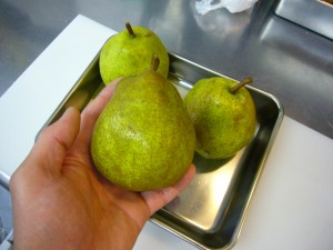 P1010975