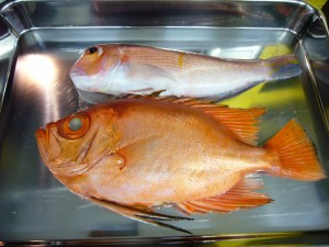 P1010986
