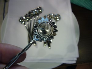 P1020050